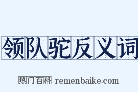 领队驼反义词是什么意思的图片